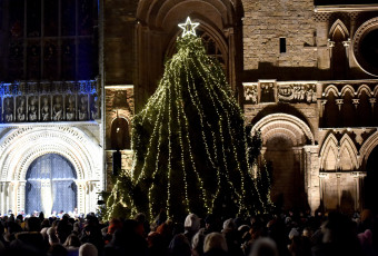 Tree of Life, credit Stuart Wilde Photography Ltd